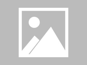数据与信息的进制转换，从基础到现代，进制转换，从基础到现代